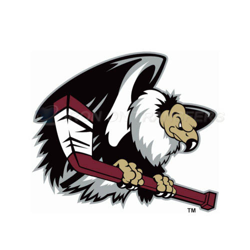 Bakersfield Condors Iron-on Stickers (Heat Transfers)NO.9231